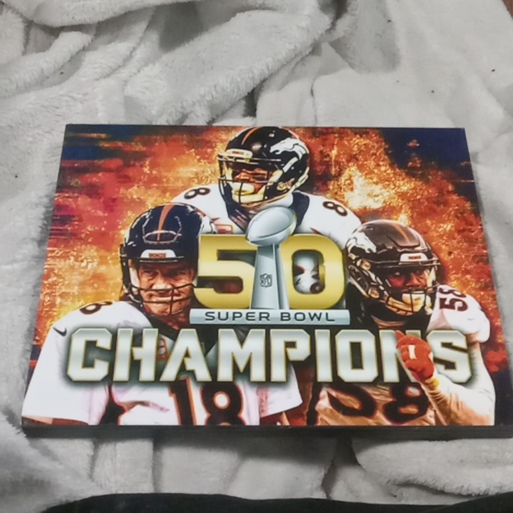 Nfl denver broncos Wooden plaq/picture